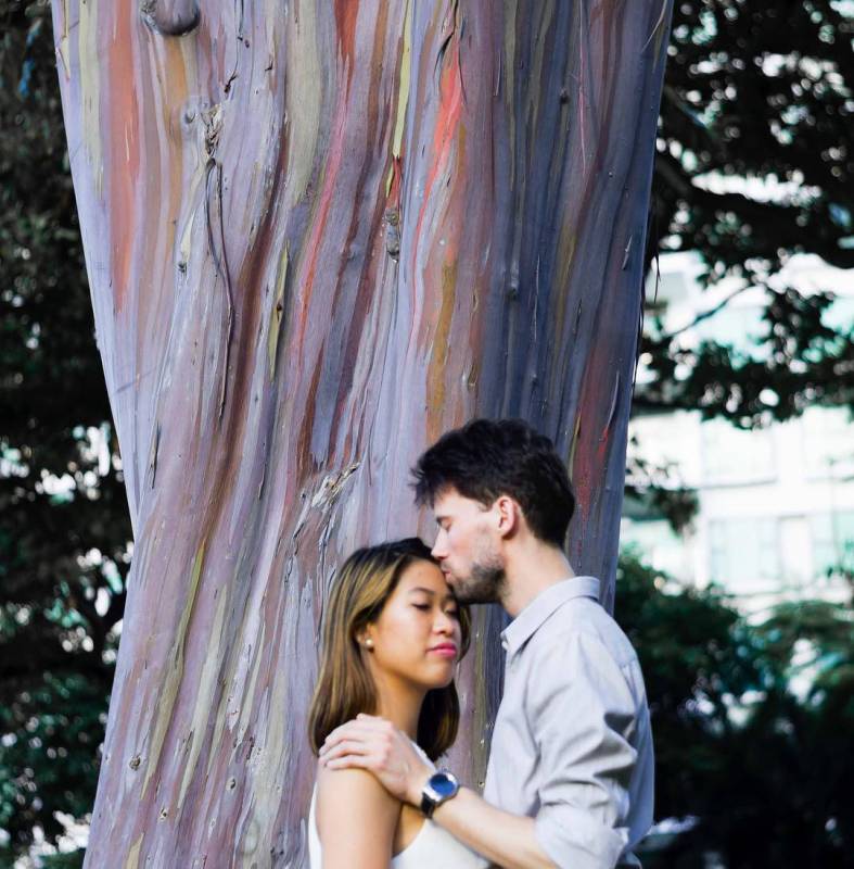 新加坡彩色地带🌈 10个绚丽脱俗的推荐地点,捕获人间彩虹