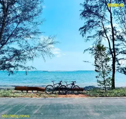 玩在狮城 周末回归自然——为你搜罗坡岛那些最适合徒步欣赏美景的好去处