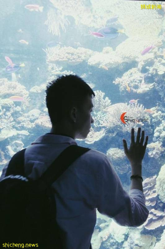 全球最大海洋館到底有多好玩!