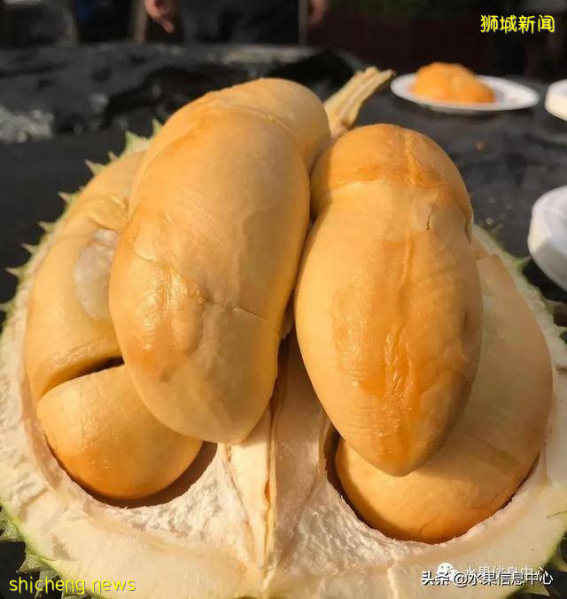 超火爆的榴梿主题餐厅,榴梿控挚爱的party怎能错过