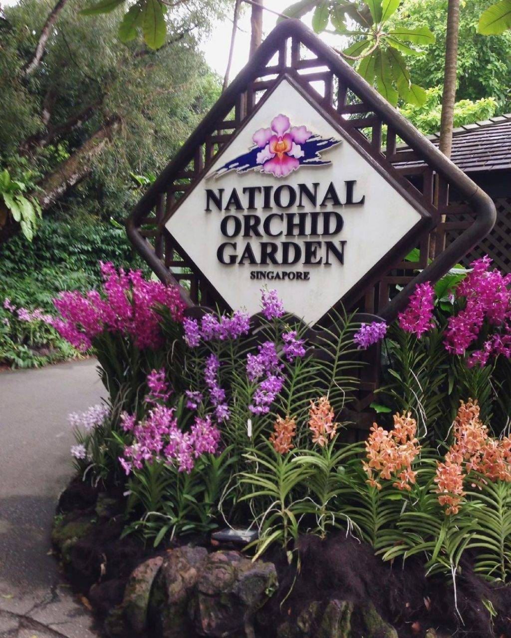 全球最大胡姬花卉展示地“国家胡姬花园”✨清新秀丽、沁人心脾,带你认识和了解我们的国花😎