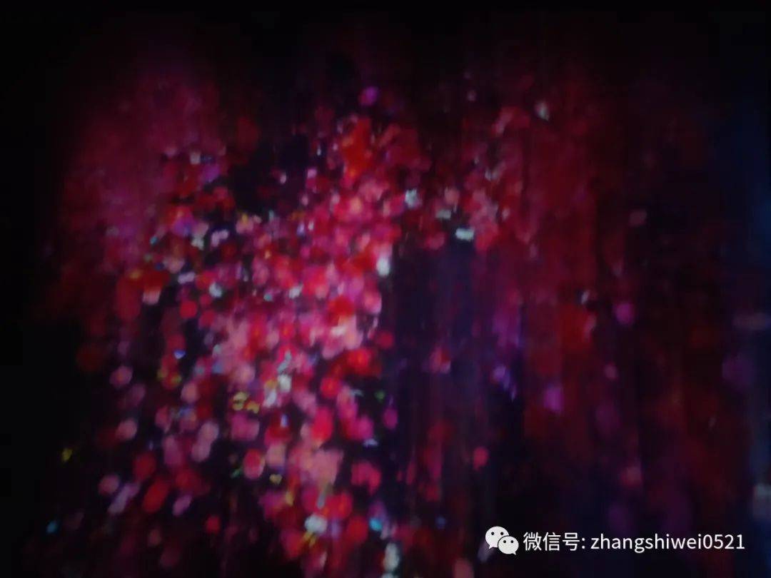 新加坡遊記系列 走,去逛博物館呀