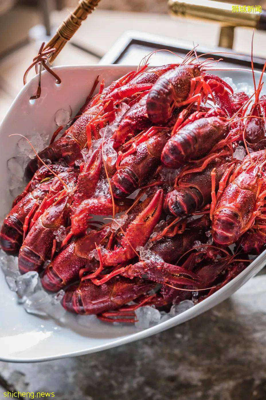 新加坡解封後,遛娃+逛街兩不誤!首家免費“水族館”來了