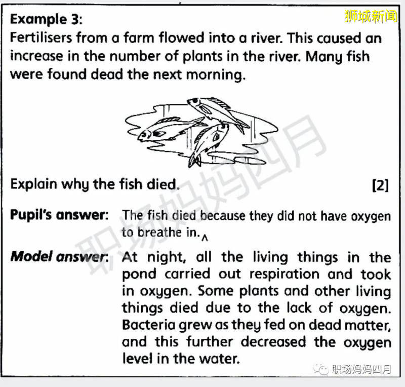 新加坡科學全球第一!一文分析小學科學學什麽?考什麽