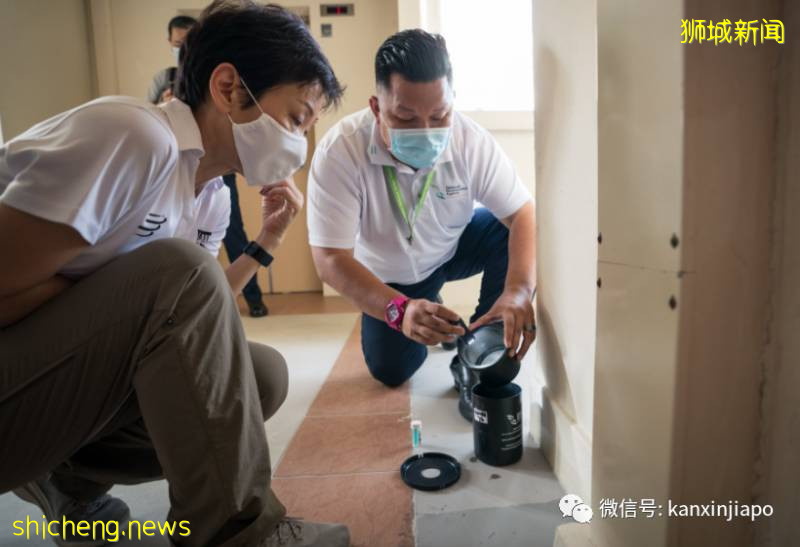 新加坡未来3月将频繁出现极端天气,史上最严重登革热情况或更严峻