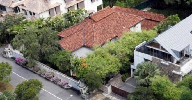 李光耀兒媳林學芬被吊銷律師執照後,改行做起了這個