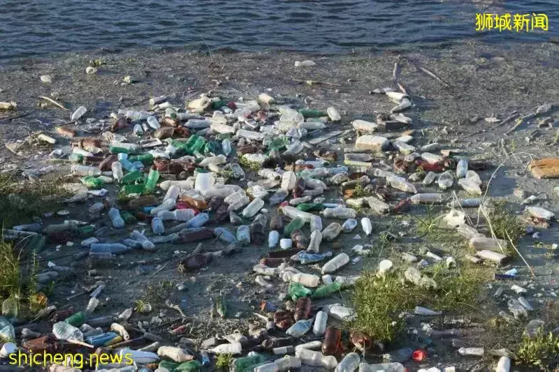 新加坡国庆节门票今天开放申请！政府推出全国行动战略，解决海洋垃圾问题