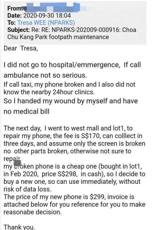 公园夜跑被绊倒,新加坡政府处理流程全记实