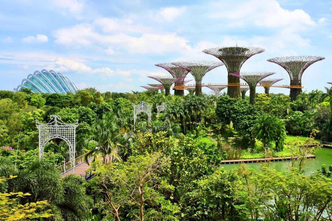 打卡狮城新地标—全球最梦幻的机场