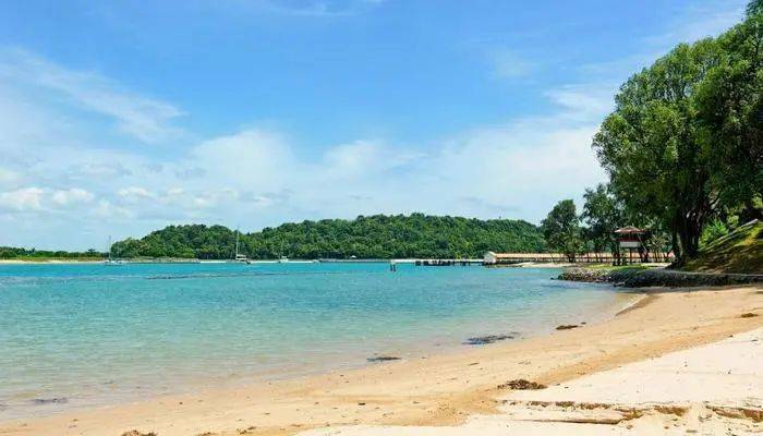 擺脫疫情苦悶 新加坡本地出海遊