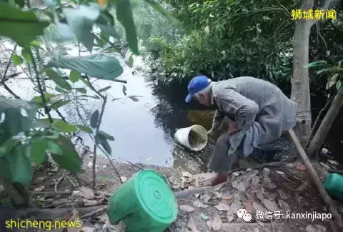 生活在疫情下的新加坡流浪者们,他们现在还好吗