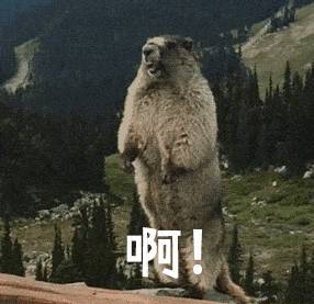 答應我，不要一聽到有魚子醬就尖叫