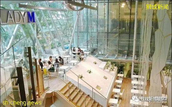 甜品界的愛馬仕—— Lady M!