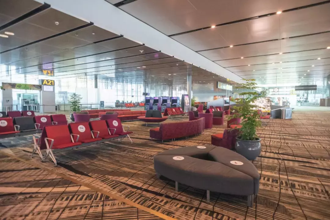 突發新政！新加坡對所有國家增加入境要求，包括中國！曝奧密克戎可1傳50人