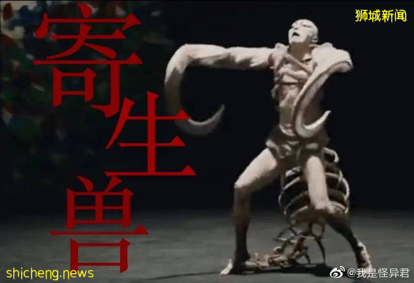 全网群嘲：东京奥运开幕式像阴间！设施简陋、开除导演乱透了！中新选手惊艳出场