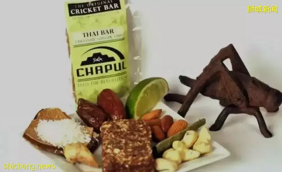 新加坡会鼓励当地人吃虫子吗？理由：本地缺蛋白质