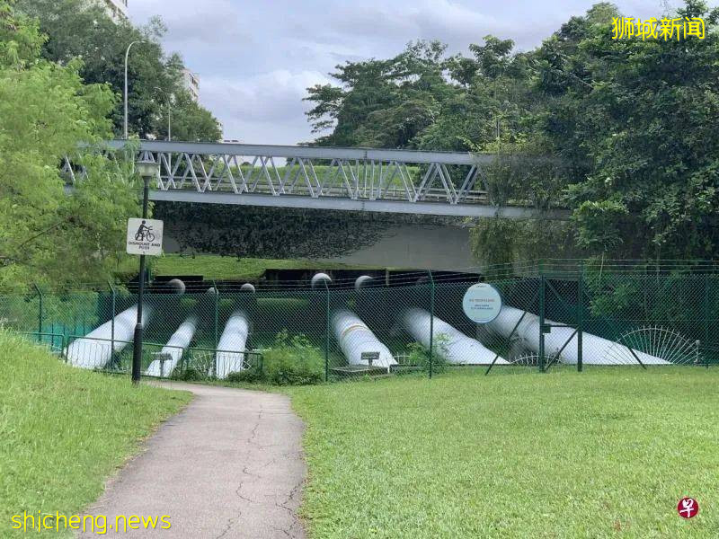 在那偏远的山头走一回新加坡最狭长的公园,看洋房、濒水组屋和明澈如镜的盘沙池