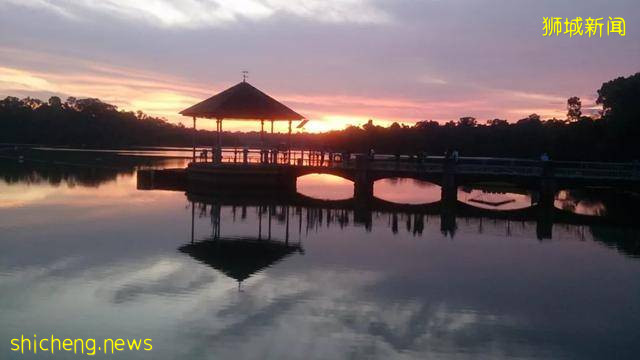 看過一場新加坡的夕陽,我決定定居下來!