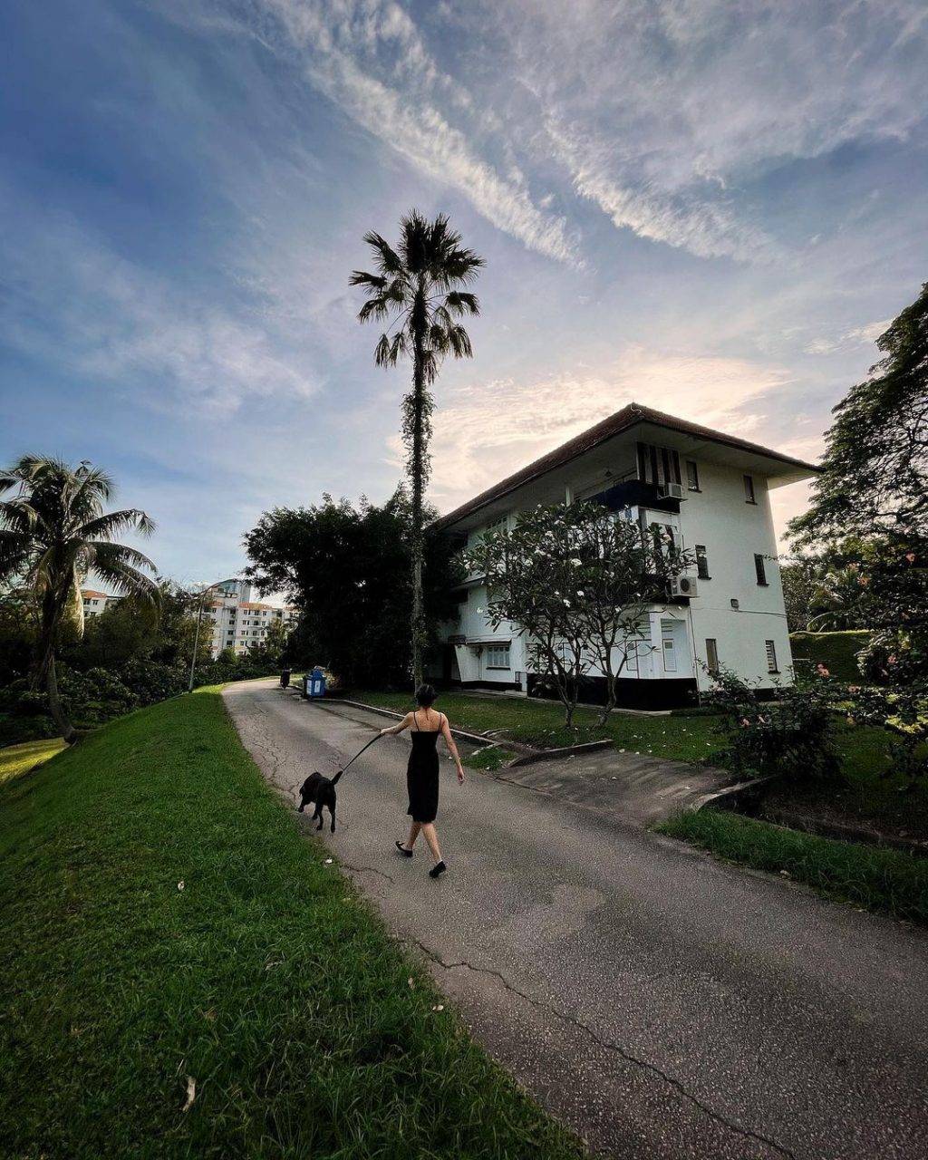 秘密景区!新加坡8座遗忘的角落🌂 徒步旅行好去处!消失的水库、战争遗物、遗弃古迹