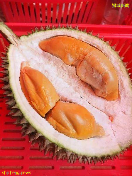 新加坡榴梿全攻略！實拍挑戰芥末和燒烤榴梿！太刺激了