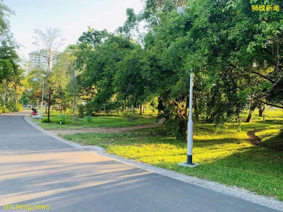 美到不行的裕廊湖畔花园,你不来打卡一下吗