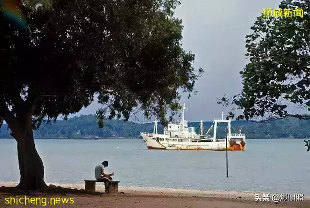 45 張照片,捕捉 1971 年新加坡的街景,來尋找中華文化的痕迹吧