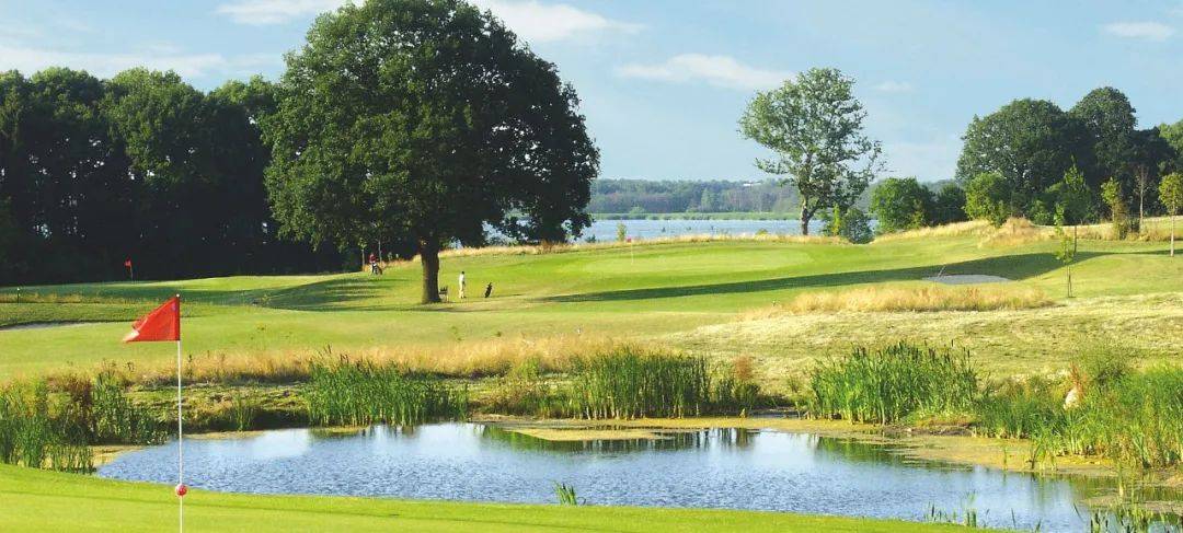 新加坡8間兒童高爾夫俱樂部,3歲就可以學,課時從$30起