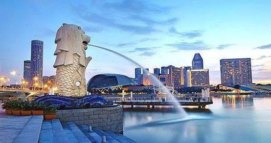 【新加坡留学】年年有露营，你来读书吗