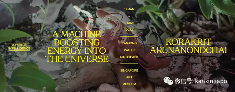 新加坡当代艺术有了国家级的新地标了