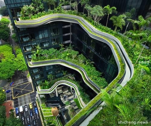 狮城商海丨花园城市的御用花商——东南亚的“鲜花大王”