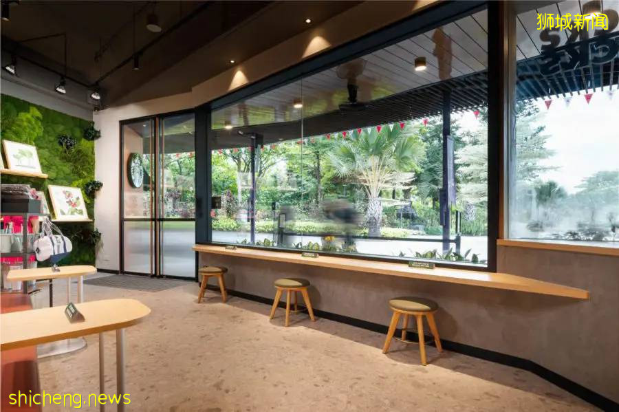 全新森系原木风的星巴克,超大落地玻璃窗,180°无边风景