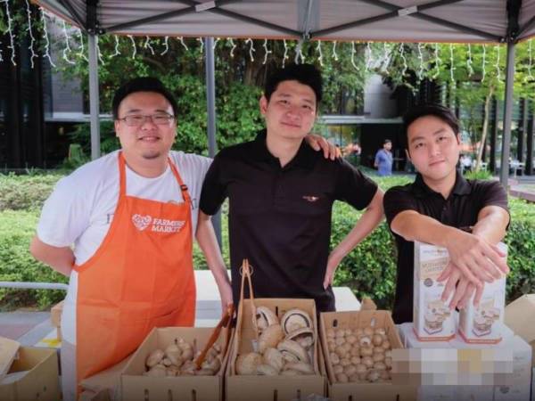 3好友弃稳定工作 180万打造“蘑菇王国”