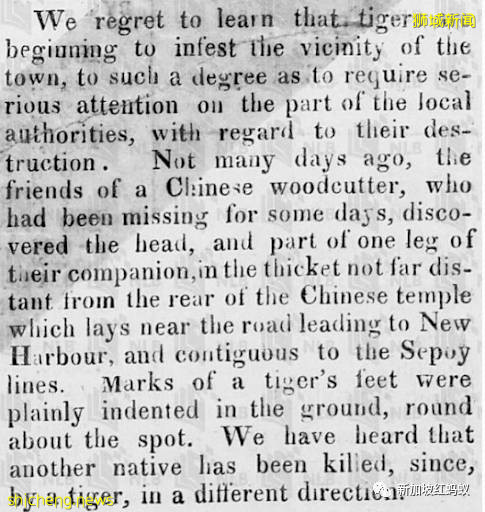新加坡曾闹近百年虎患,一年300人被咬死 重赏打虎后终将之灭绝
