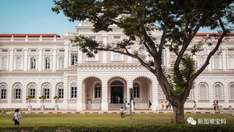 年末就是要狂歡！2020年最後一個月，還能帶娃在新加坡做點啥