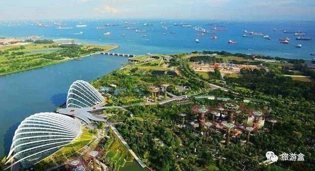 新加坡旅游，兰花与世界名人同名，这条街最有艺术气息