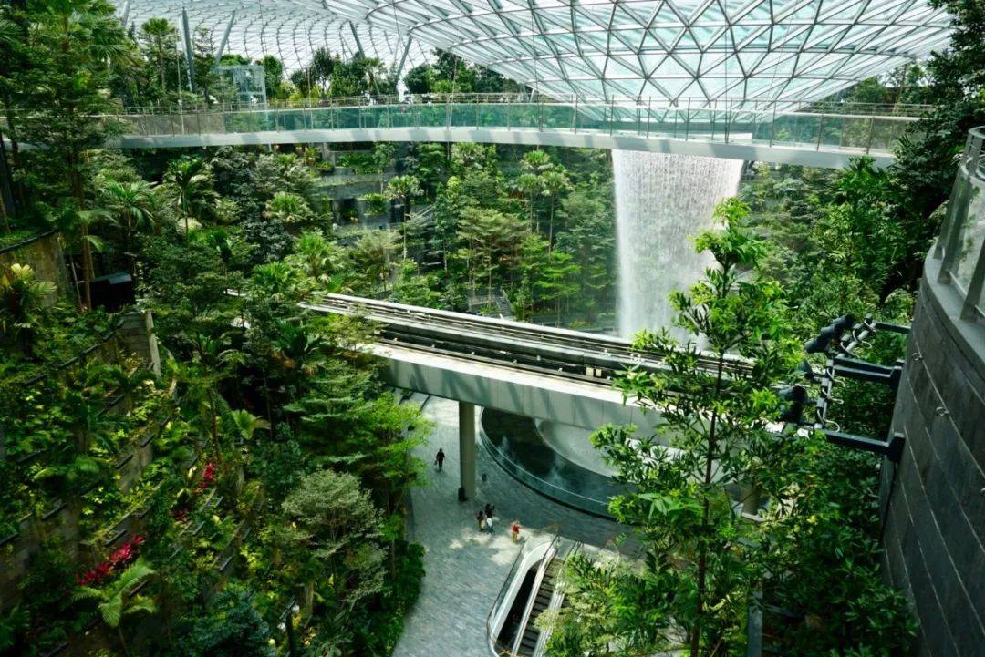 剛剛！新加坡在這方面超過美國和中國，全球第一！美國總統發帖表示不服