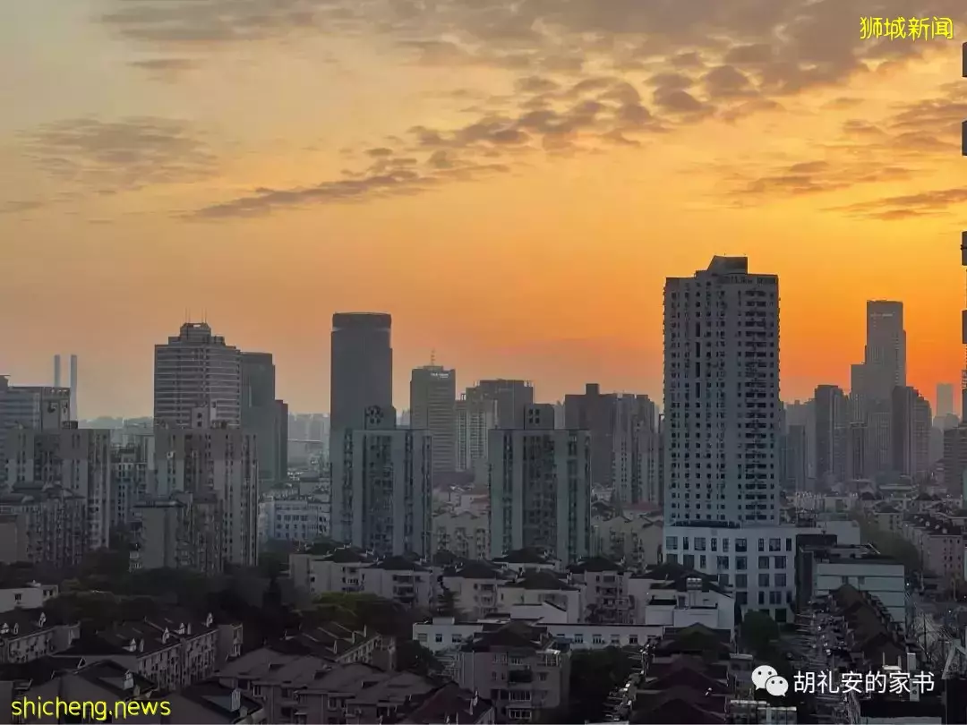 “从新加坡回到上海,封锁一再延长,我被卷入了这场前所未有的大事件”