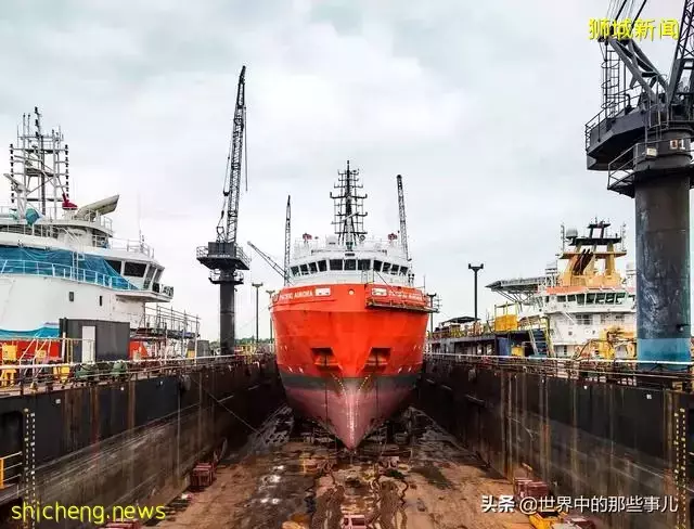 金龍魚、凱德集團竟然是新加坡公司?新加坡還有哪些産品在中國