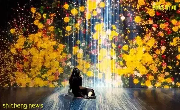 遊覽攻略 新加坡這4個推薦打卡的博物館，非常值得一遊！您去過了嗎