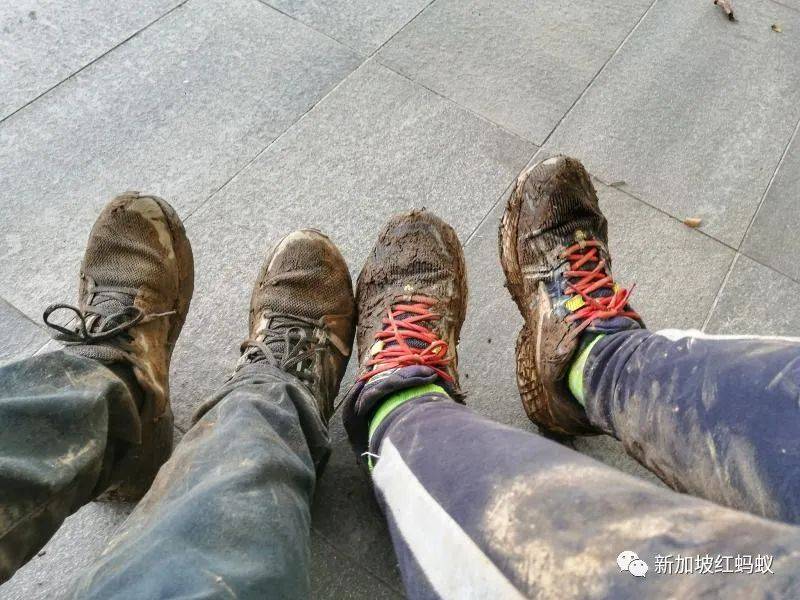 新加坡隐藏版秘境 绝美的金文泰森林