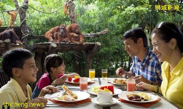 新加坡這波“宅度假”完全就是精神享受,網友:有錢閑得慌