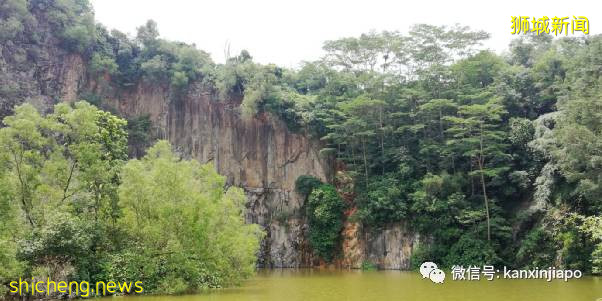 教你如何10元玩转新加坡