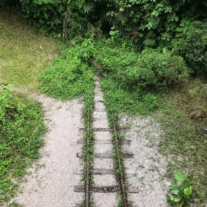 新規劃官宣！跨海長島、混合城市、地下城……未來的新加坡也太科幻了吧