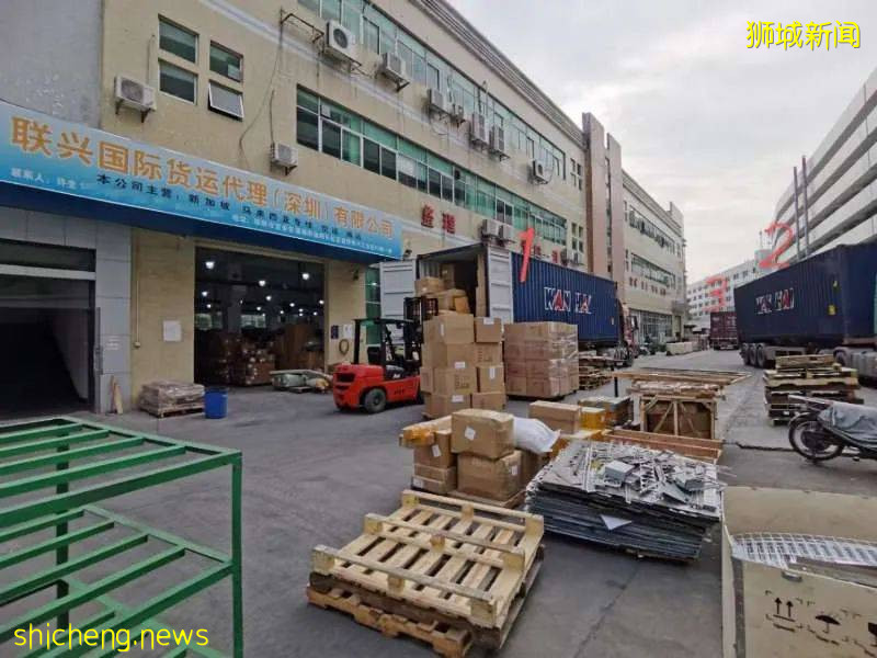 618必备!中国到新加坡海运物流,惊爆只要¥320每立方