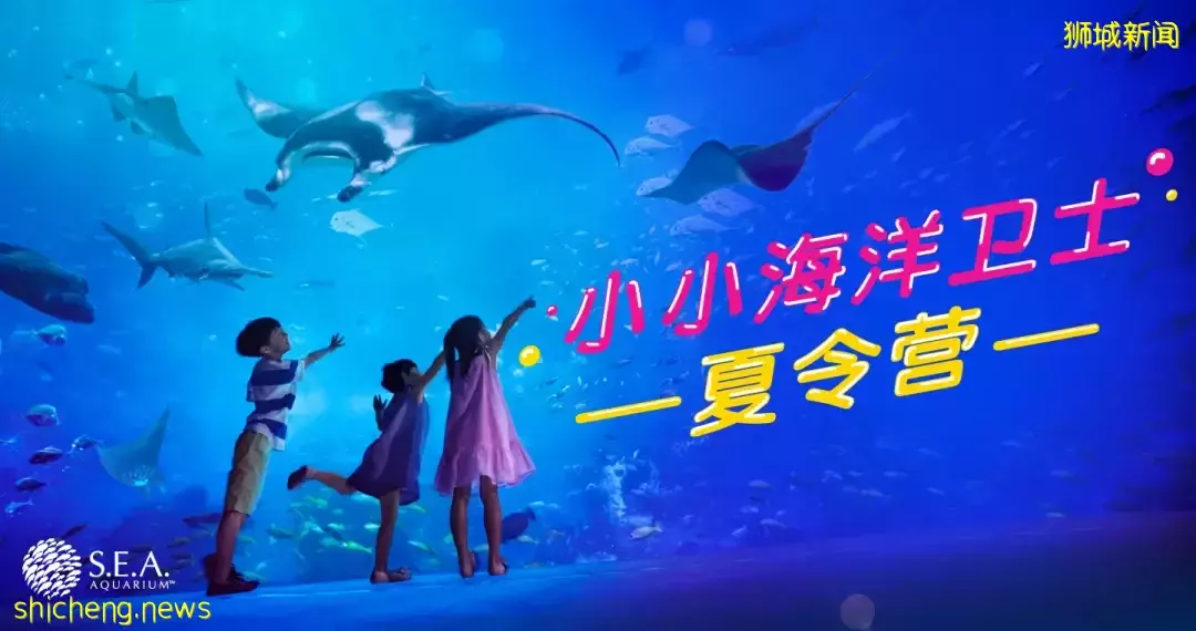 不出國的新加坡小朋友可以來參加這個夏令營