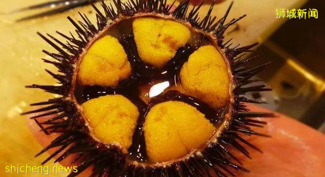 驚!大家竟然喜歡吃這個東西,獅城的你吃過嗎!