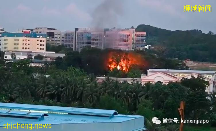 新加坡工厂大火，中国客工严重烧伤身亡！事发原因曝光