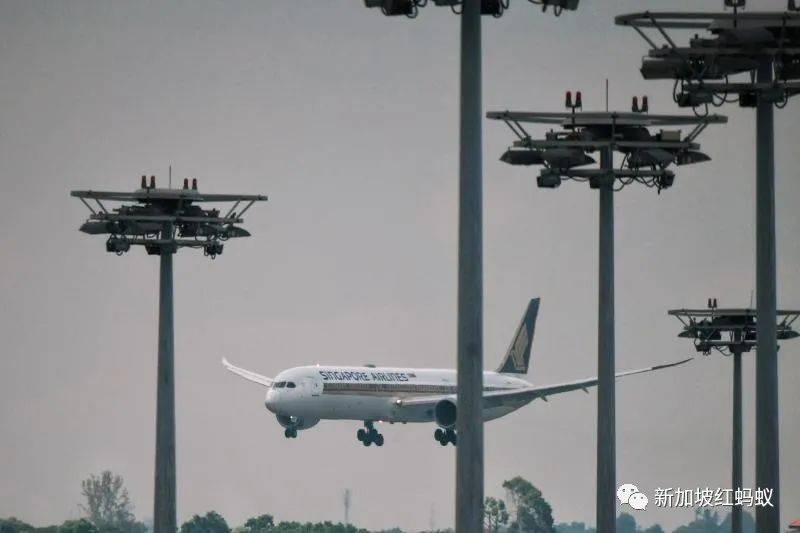 新加坡手上有好牌，逐步和低风险地区开展“泡泡”其实没那么可怕