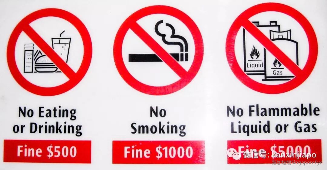 在一不小心就犯法的新加坡，如何求生？