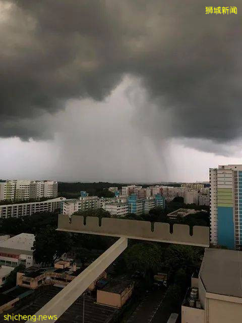 又“狂”又“野”的新加坡奇景!天氣多變,生態豐富!